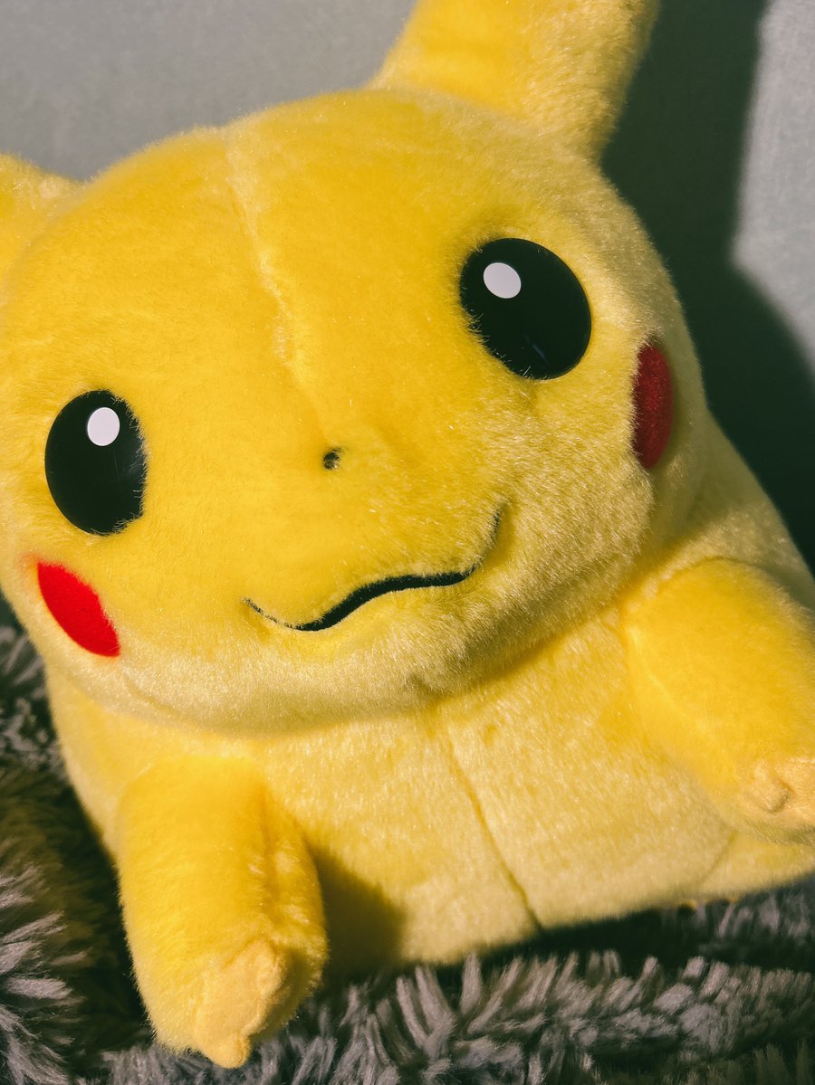 パヤ石山 tweet media