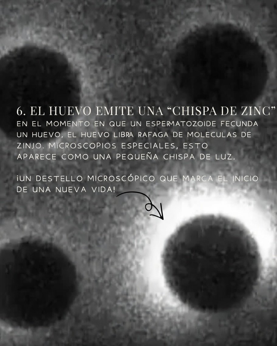 Pablo Alcalde tweet media