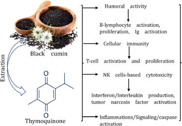 د. مشوح عبدالله المشوح tweet media