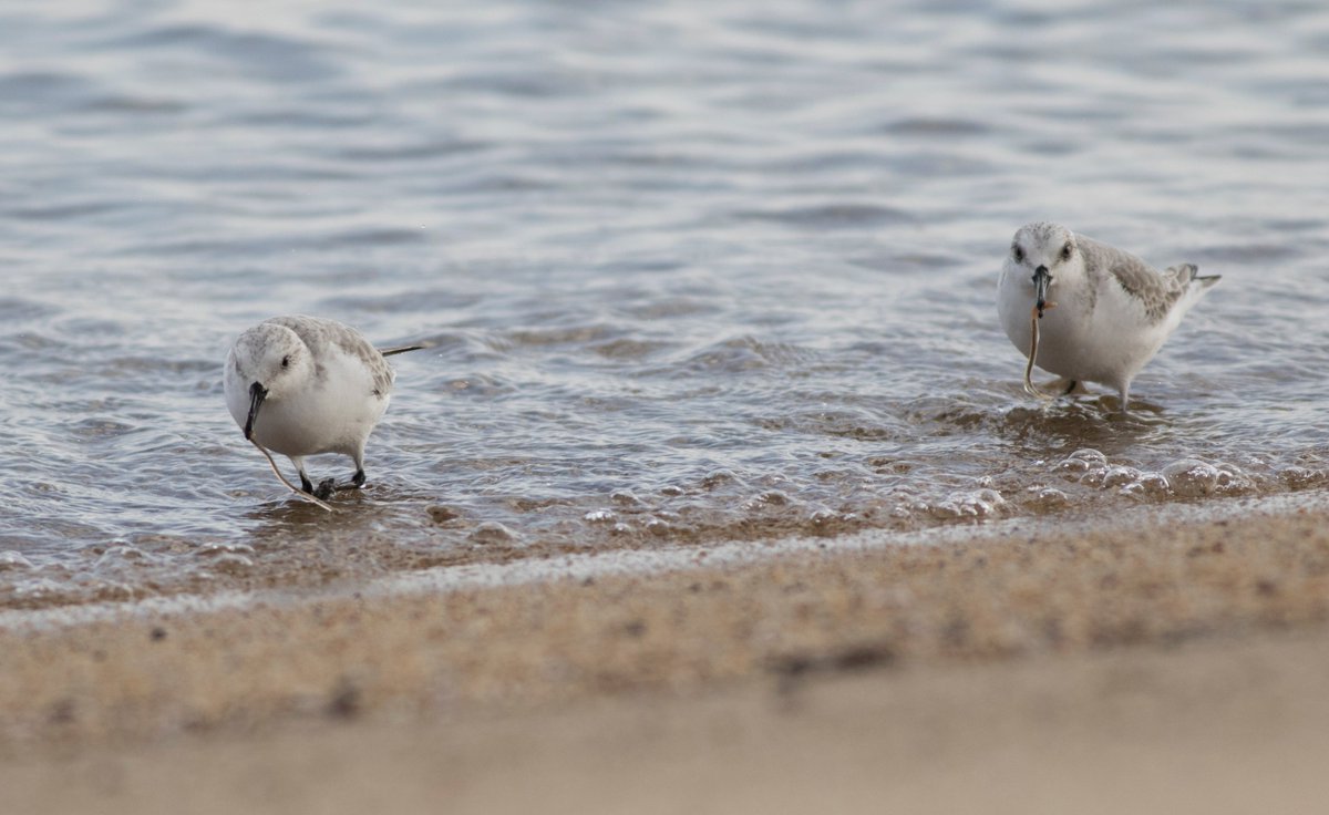 宮本 桂 tweet media