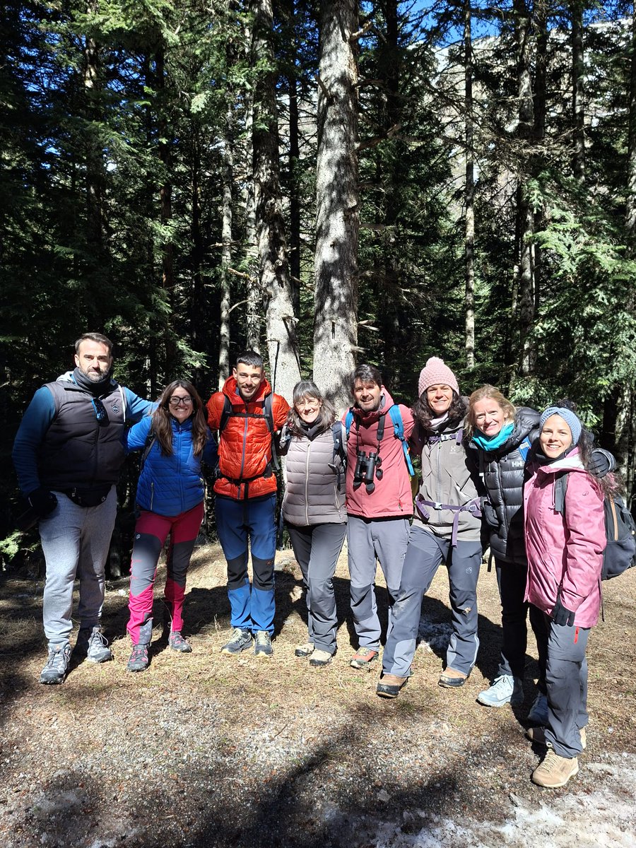 CdA Valls d'Àneu tweet media