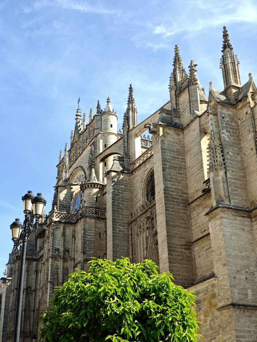 Vir 🥝 tweet media