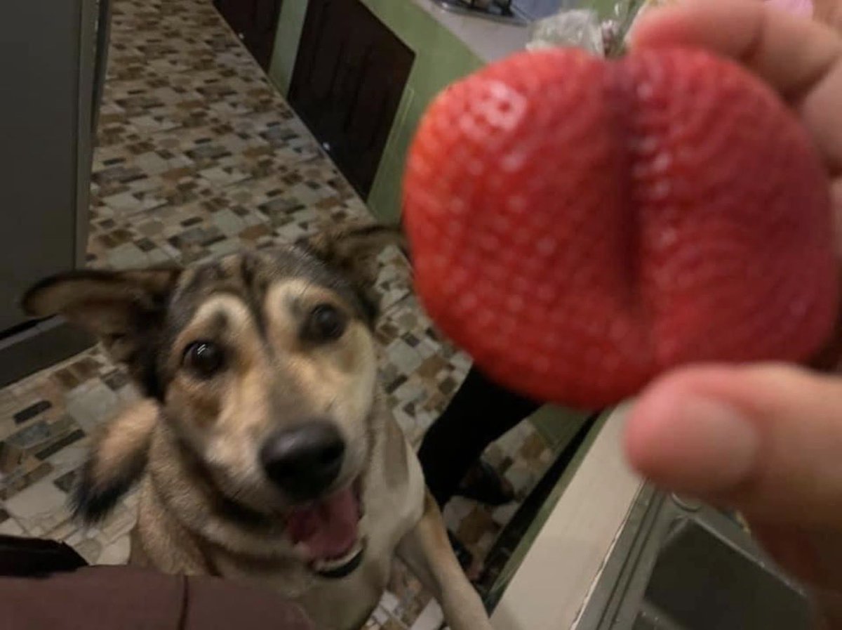 HaTa はた tweet media