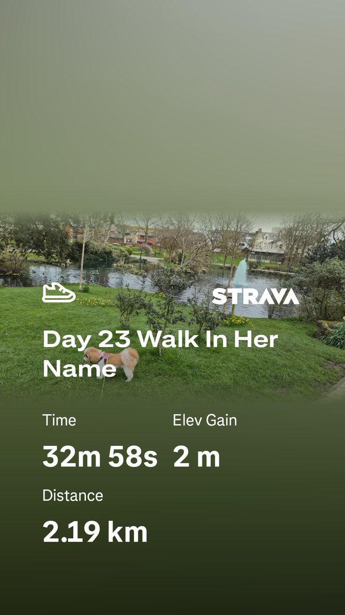 Bella🇬🇧 tweet media