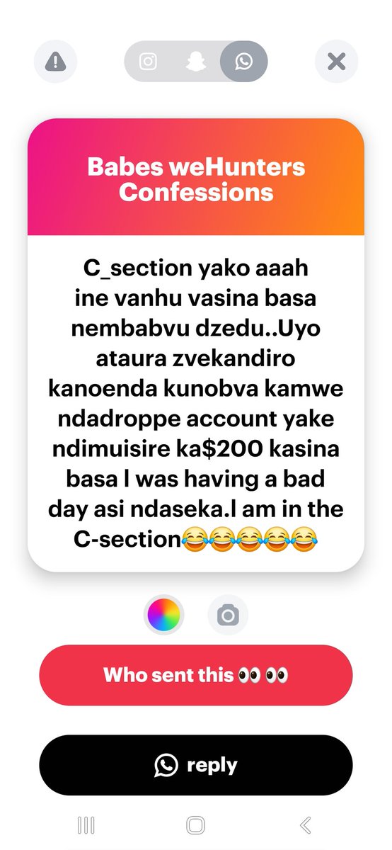 🇿🇼 Babes wehunters 🍻 tweet media