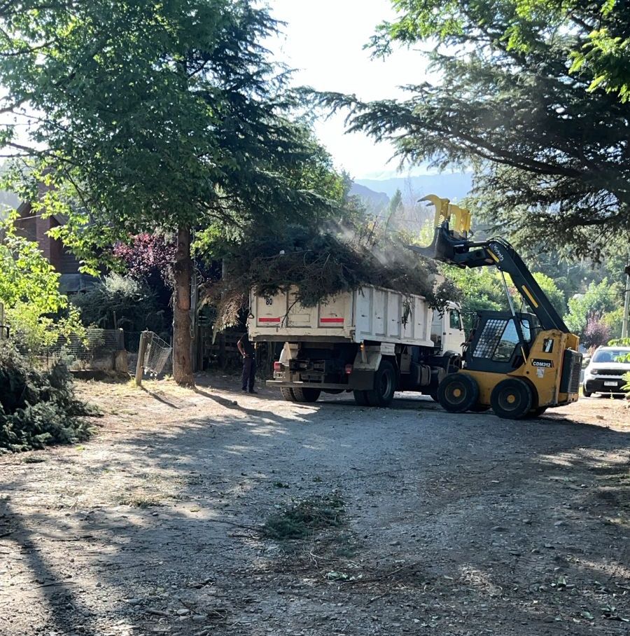 Municipio SMA tweet media