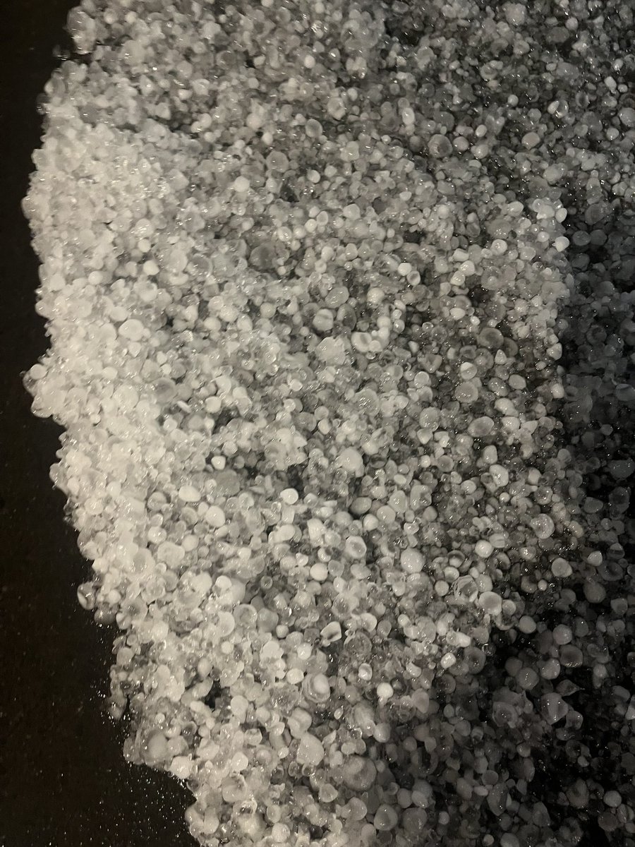 FrannyForecast tweet media