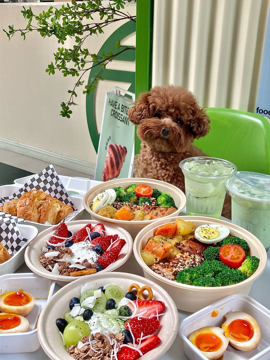 anahi-DTA@ tweet media