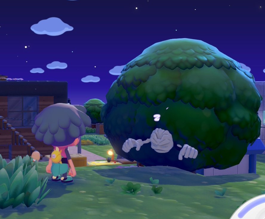 ヴォンボ🌾🐦 tweet media