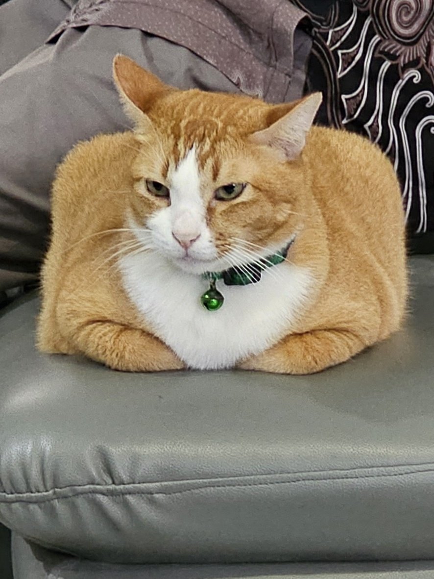 Coffee bae tweet media