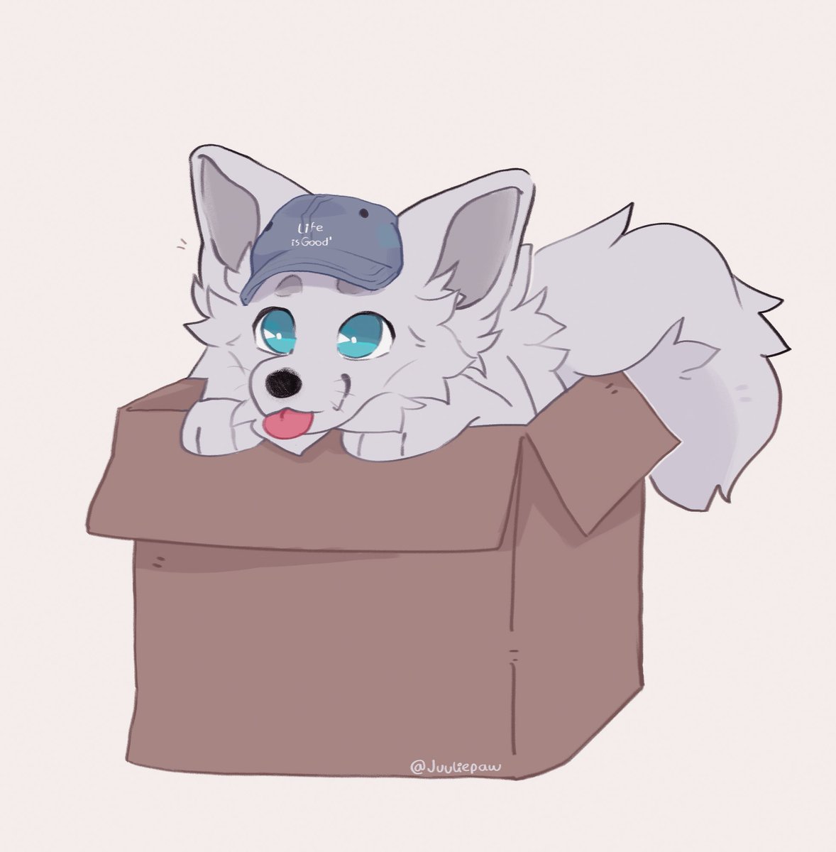 Alpha 🔜 TFF tweet media