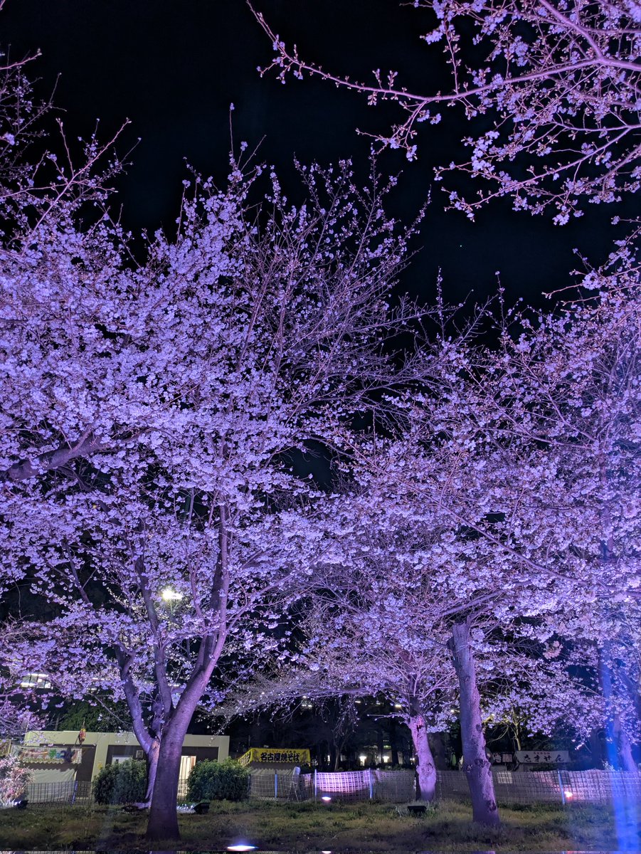 にしむつ tweet media