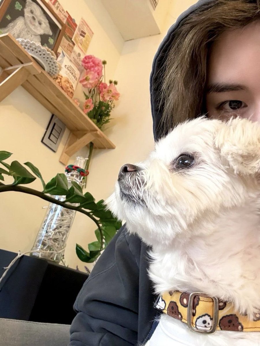 국제 강아지의 날!!!