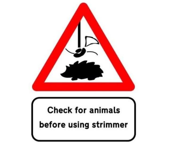 JordanGaskell8's tweet photo. Please remember to check for wildlife before mowing and strimming 🐾🦔🐾🦔 https://t.co/0I5yTeuvH1