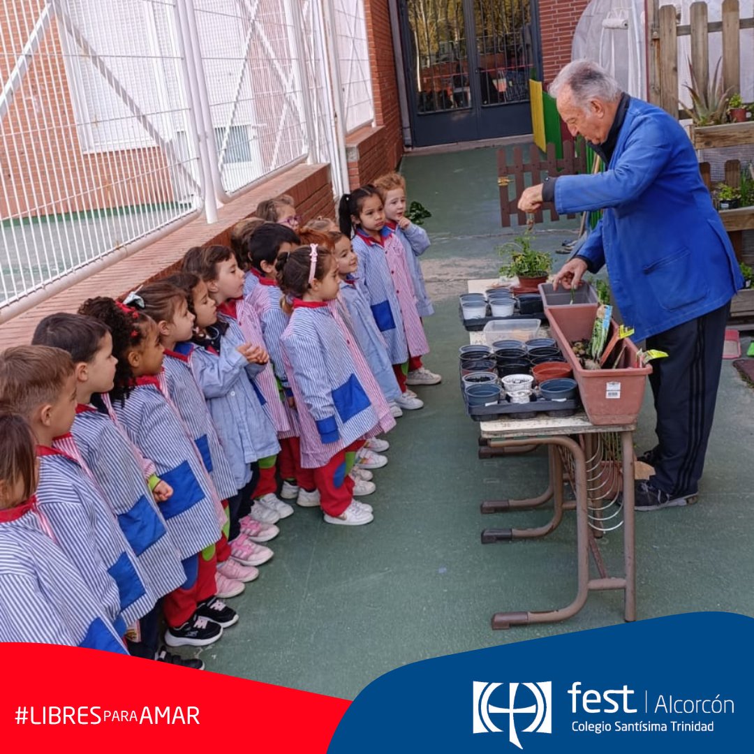 C Santisima Trinidad tweet media