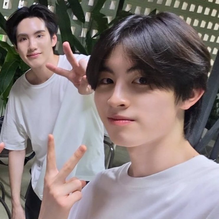 pingping tweet media