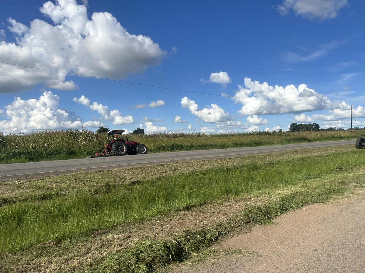 Ruwa Watch tweet media