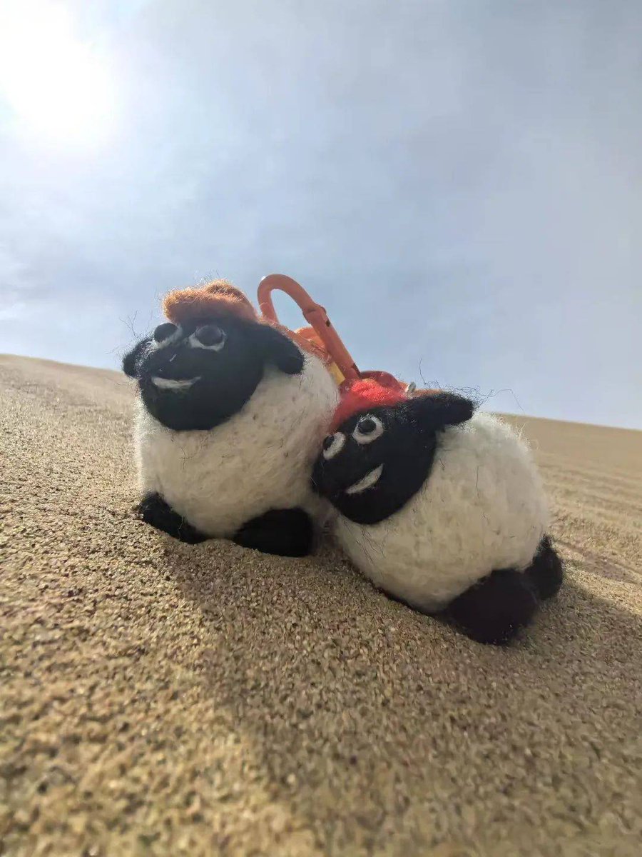 johnny james tweet media