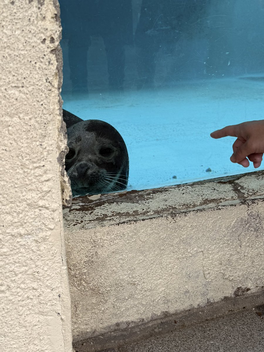 フォトジェニック小野 tweet media