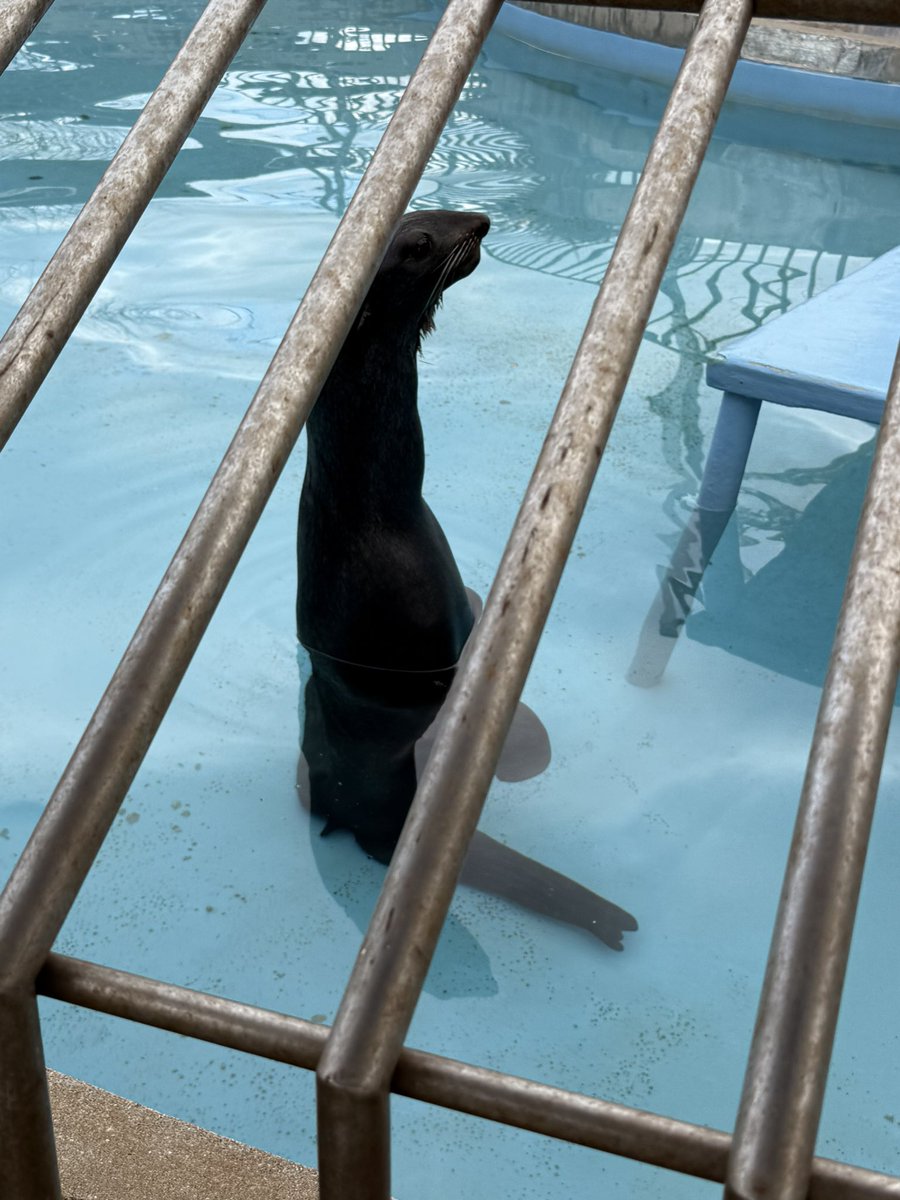 フォトジェニック小野 tweet media