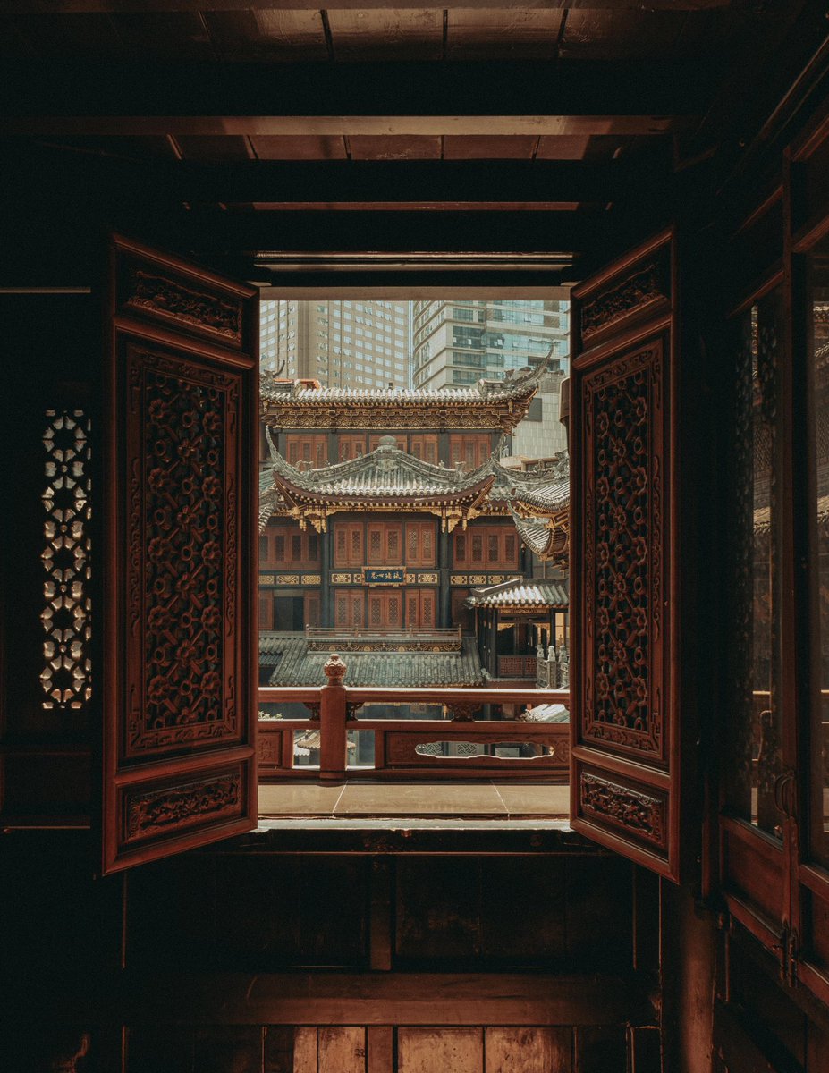 Riki Shinagawa tweet media