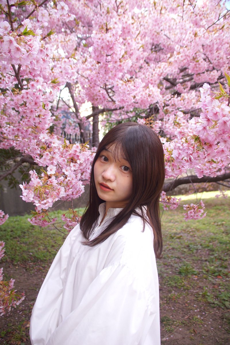 マーサ tweet media