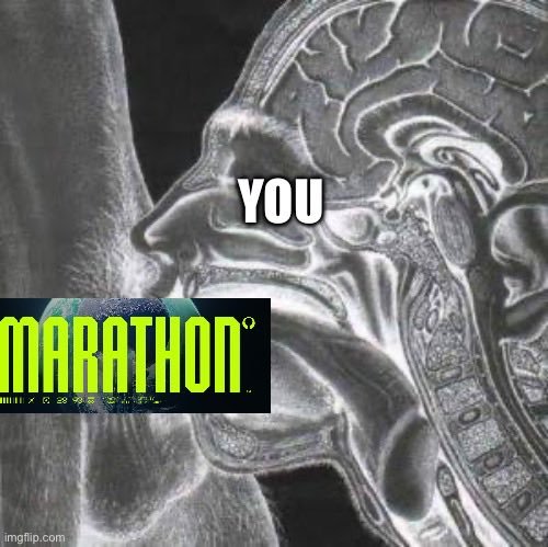 nicholas reeve tweet media