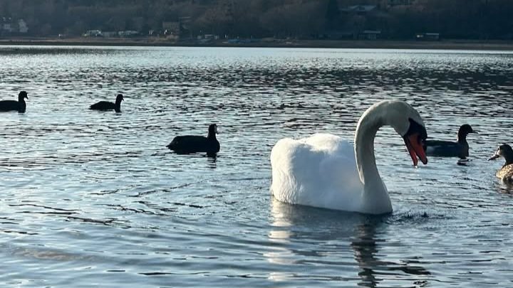 naze 🦇 tweet media