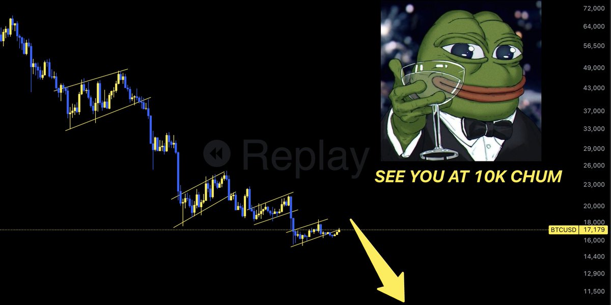 Cristian Chifoi tweet media