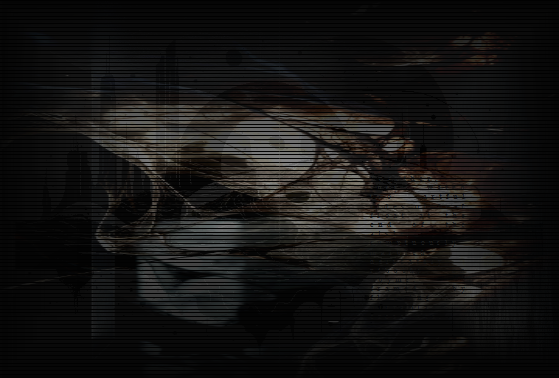 Okty Budiati tweet media