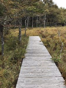 John Gauntner tweet media