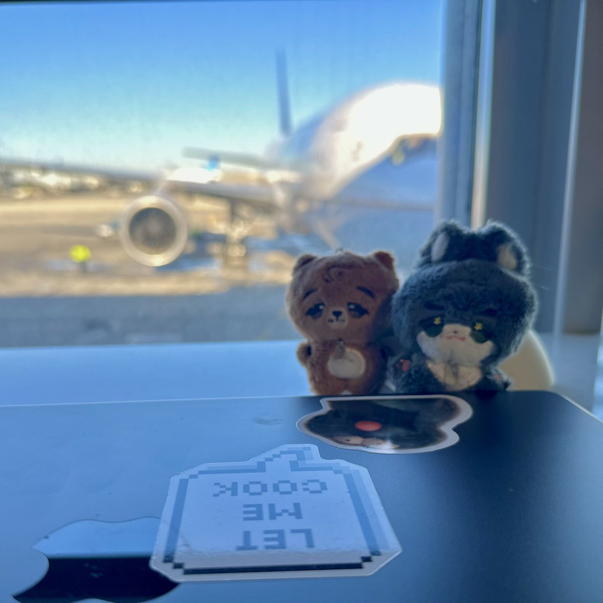 acorn-field : 도토리밭 tweet media