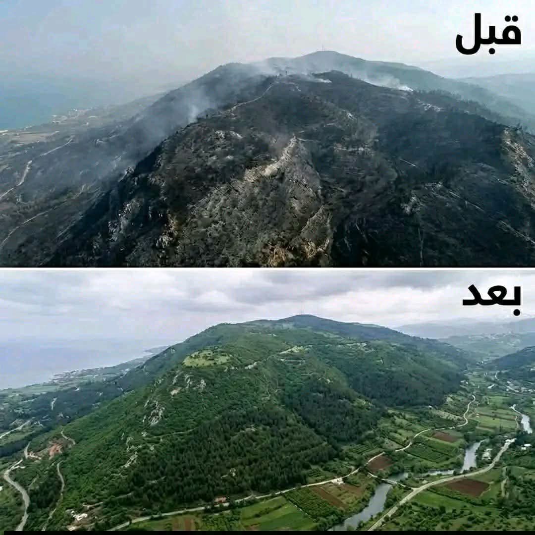 Dr. Taleb Dug tweet media