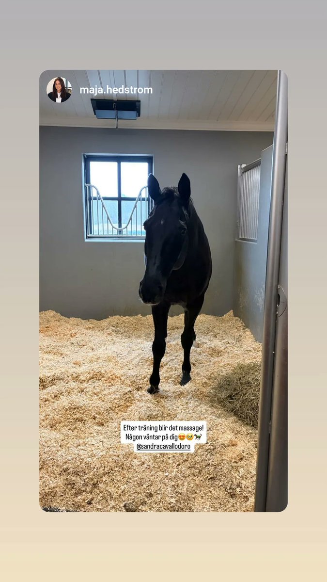 Sandra Larsson tweet media