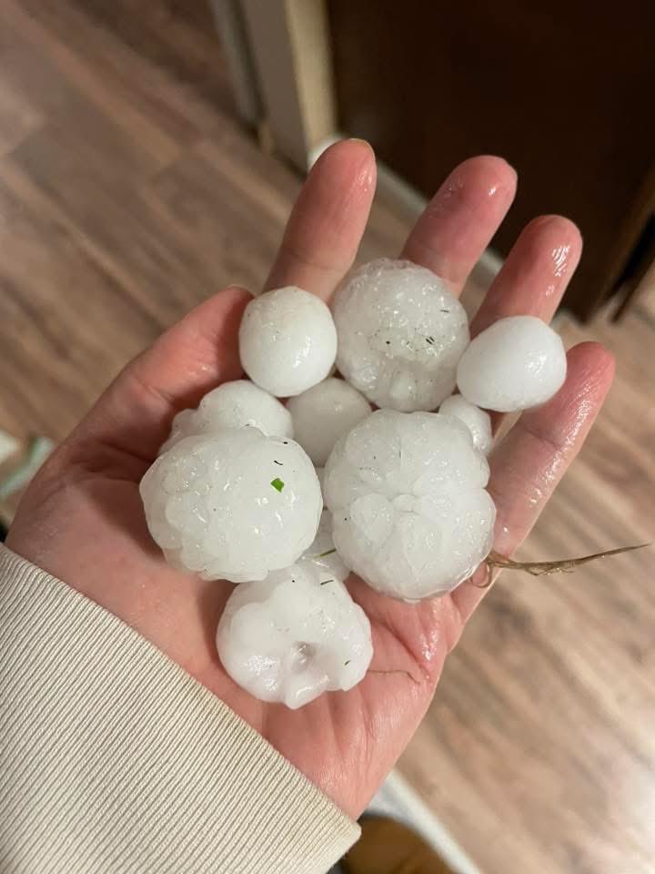 HailTrace tweet media