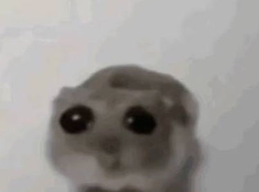 Elephunkz tweet media