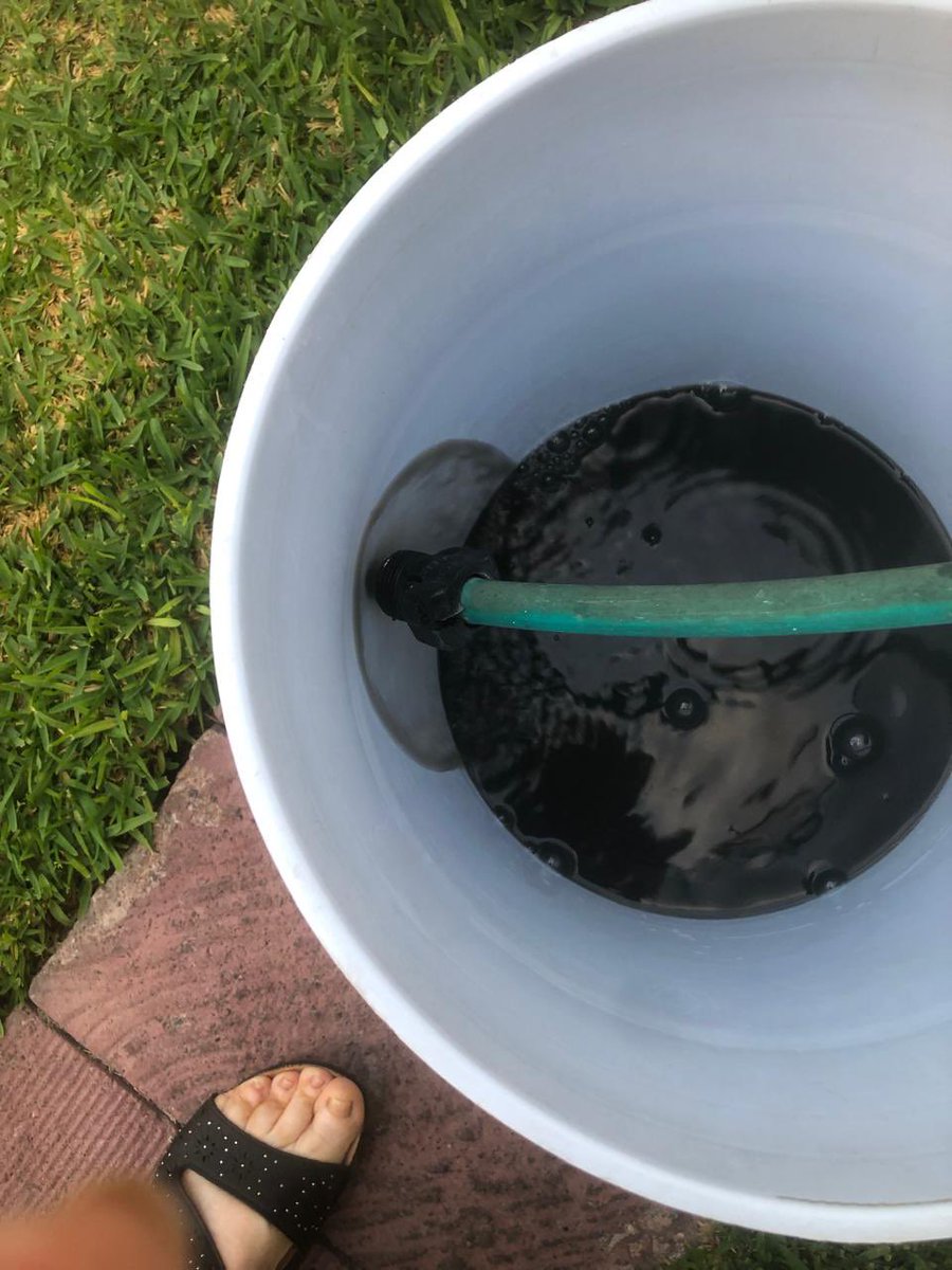 Irene Becerra tweet media