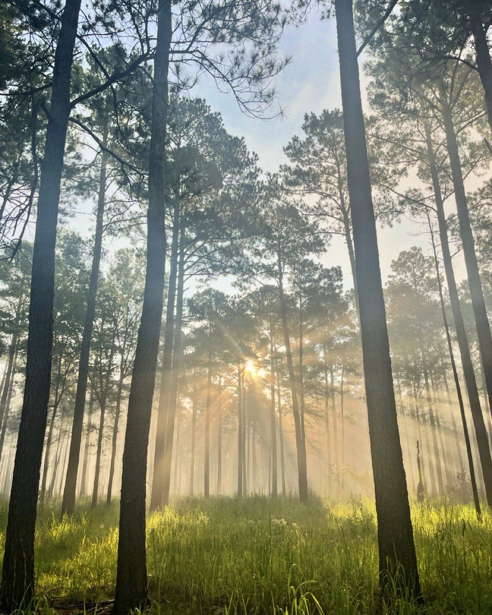 US Department of the Interior tweet media