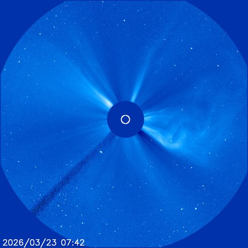 Stream Martial tweet media