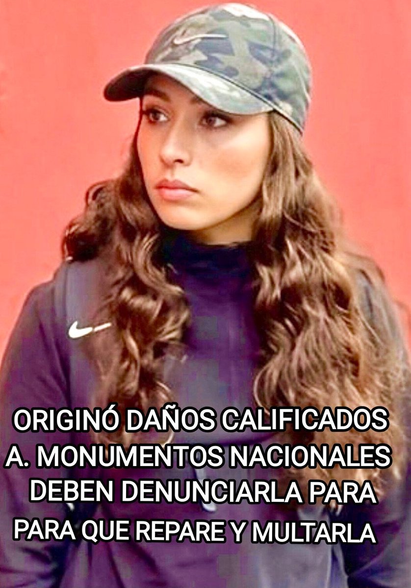Alejandrinotad1's tweet photo. @porkyasecas @Pedrovalen53941 @joseantoniokast A ESTA DELINCUENTE, DEBEN DETENERLA, PONRRLA A DISPOSICION DEL TRIBUNAL Y REPARE EL DAÑO CURSADO A MONUMENTOS NACIONALES. https://t.co/5n2kx7e6uv