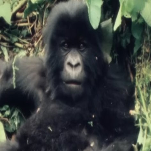 Seekr Trending tweet media