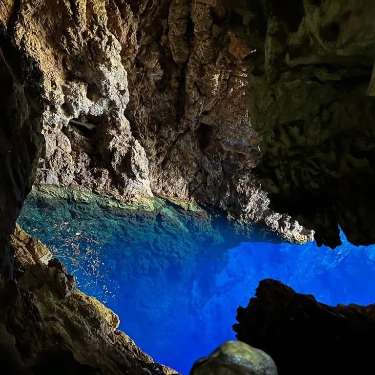 Charter Sights 🌺 tweet media