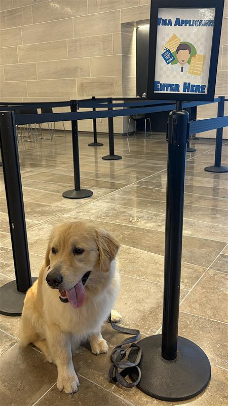 U.S. Embassy Nassau tweet media