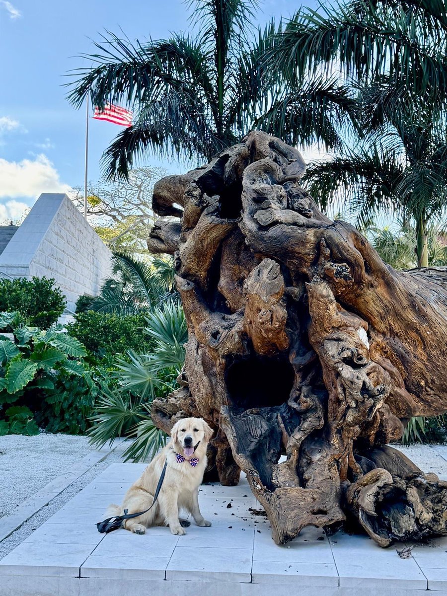 U.S. Embassy Nassau tweet media