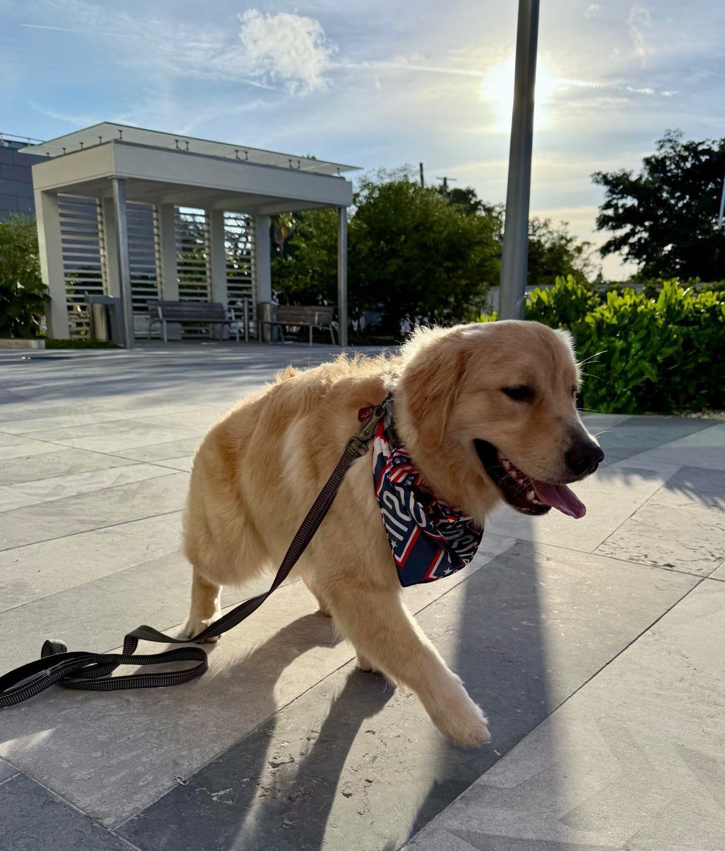 U.S. Embassy Nassau tweet media