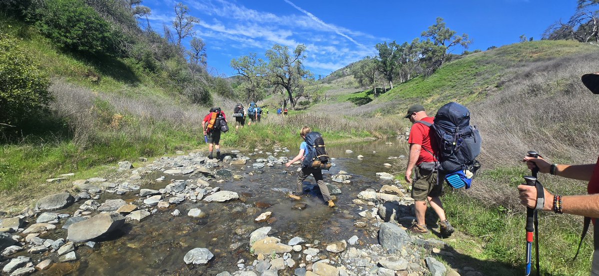 Brandon Hannibal Donkey tweet media