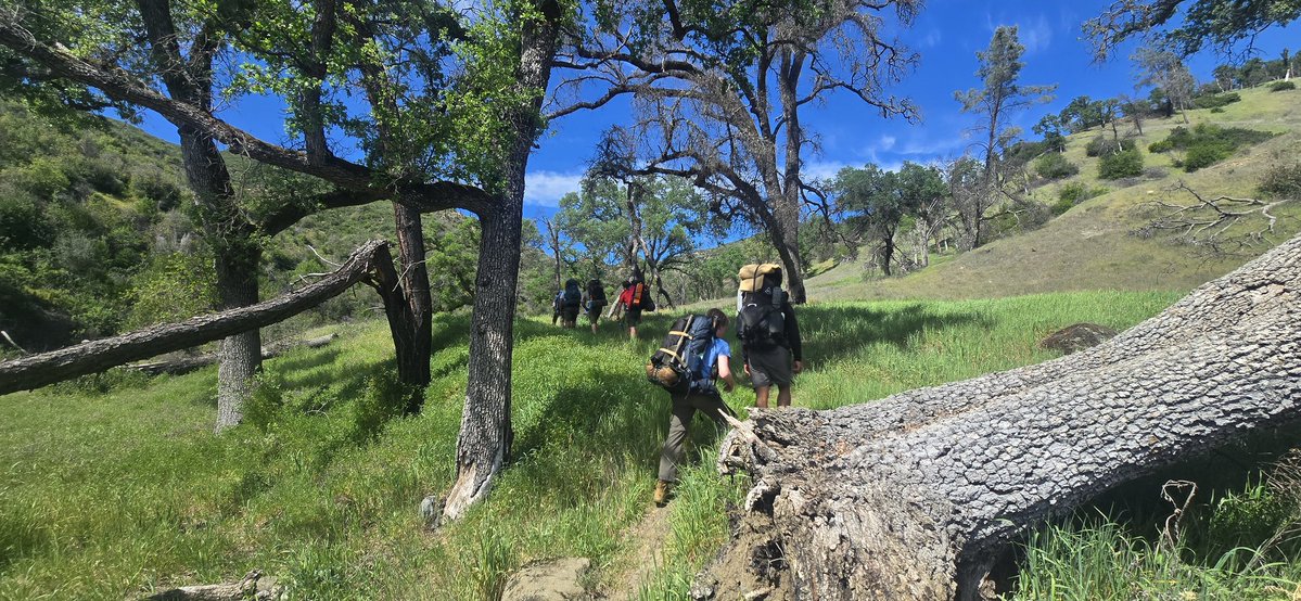 Brandon Hannibal Donkey tweet media