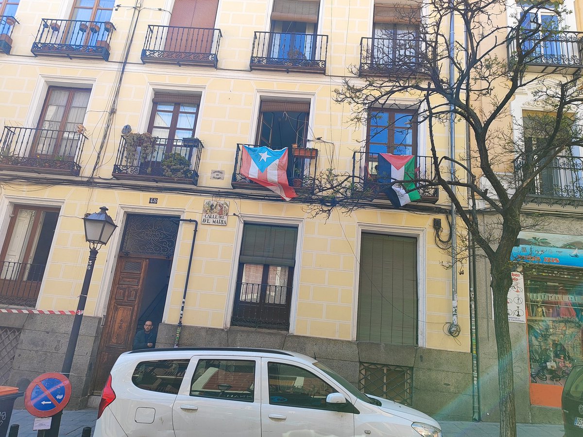 DON KOALA 💢🔻 tweet media