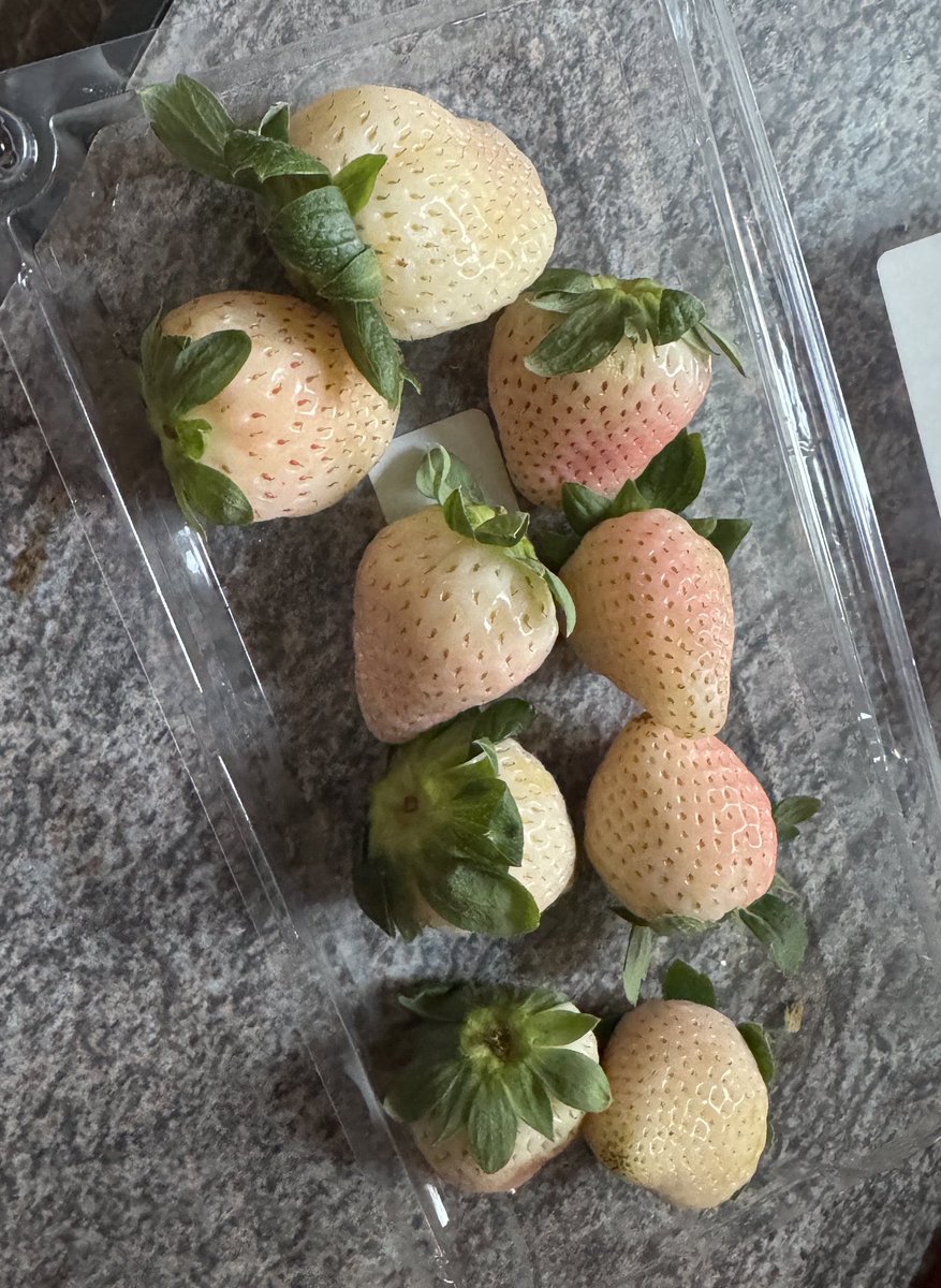 Kristi Yamaguccimane tweet media