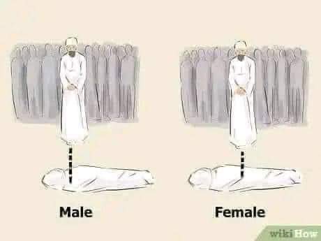 Haleema Abubakar🌹 tweet media